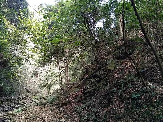 奔跑吧兄弟大冒险3
