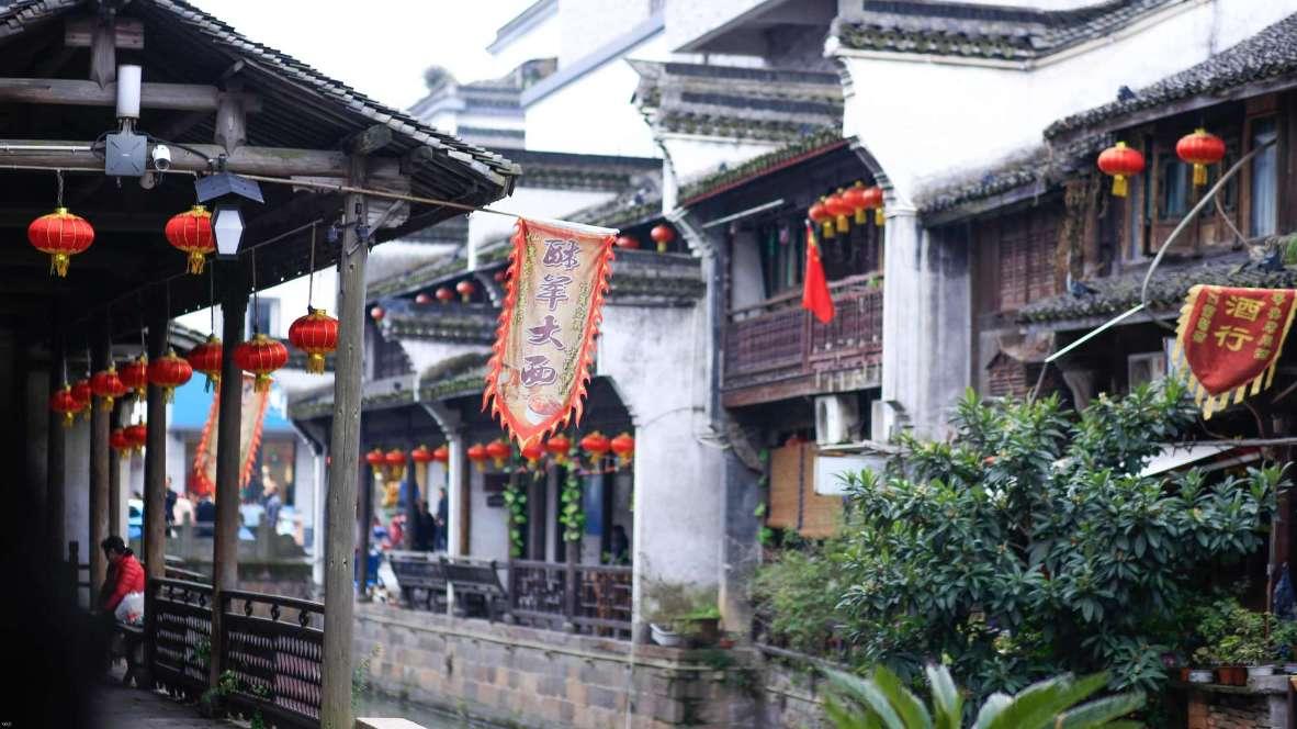 口袋森林世界杯传球大赛
